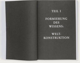 Weltkonstruktion